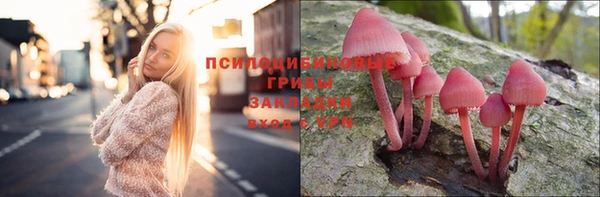 PSILOCYBIN Бородино