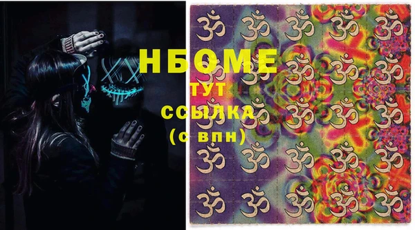 PSILOCYBIN Бородино