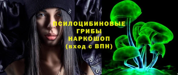 PSILOCYBIN Бородино