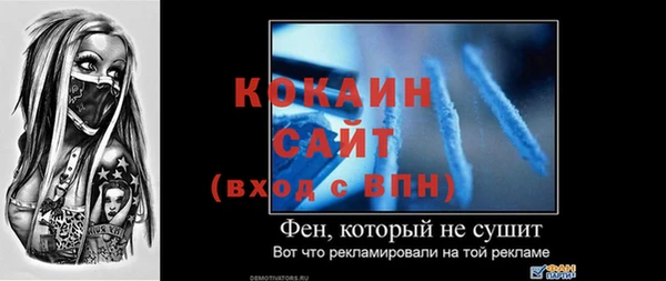 PSILOCYBIN Бородино