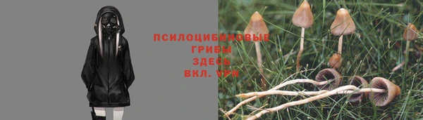 2c-b Бронницы