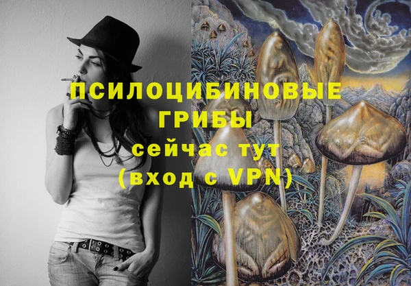 2c-b Бронницы