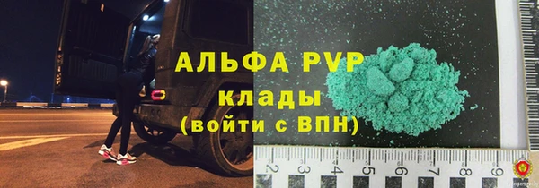 PSILOCYBIN Бородино
