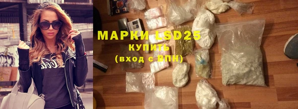 PSILOCYBIN Бородино